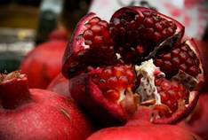 Christmas / Holiday: Holiday Pomegranate